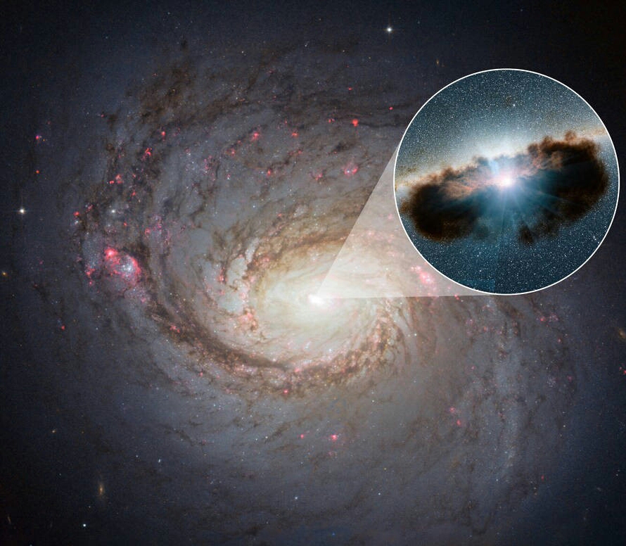 Formazione ed evoluzione galattica